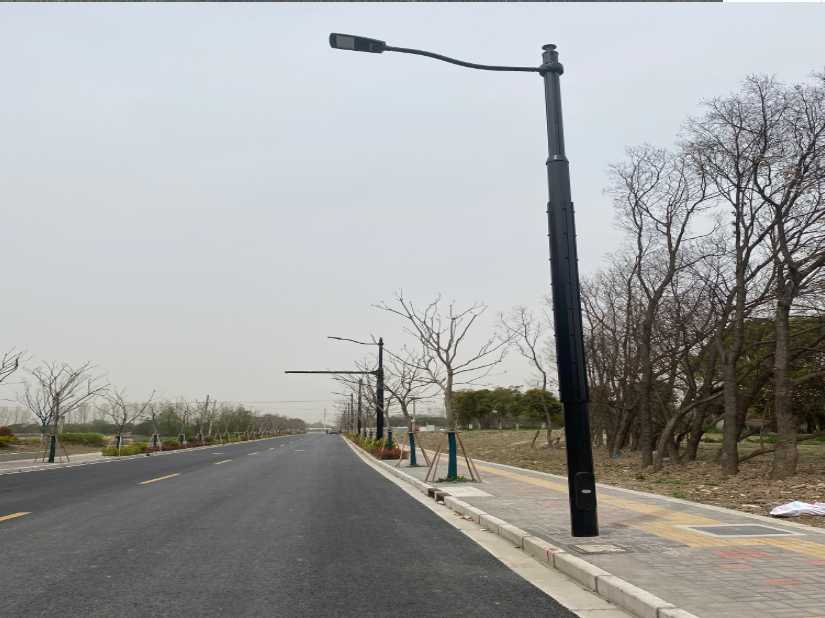 新都区上海综合杆 太阳能路灯工程